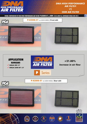 DNA Air Filters for Kawasaki Ninja 300 (2013-2017)