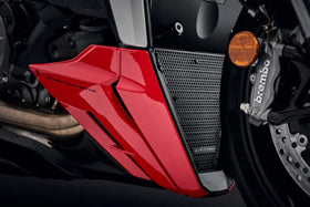 Evotech Performance Radiator Guard Set for Ducati Streetfighter V2 (2022) | 7aftermarket India 